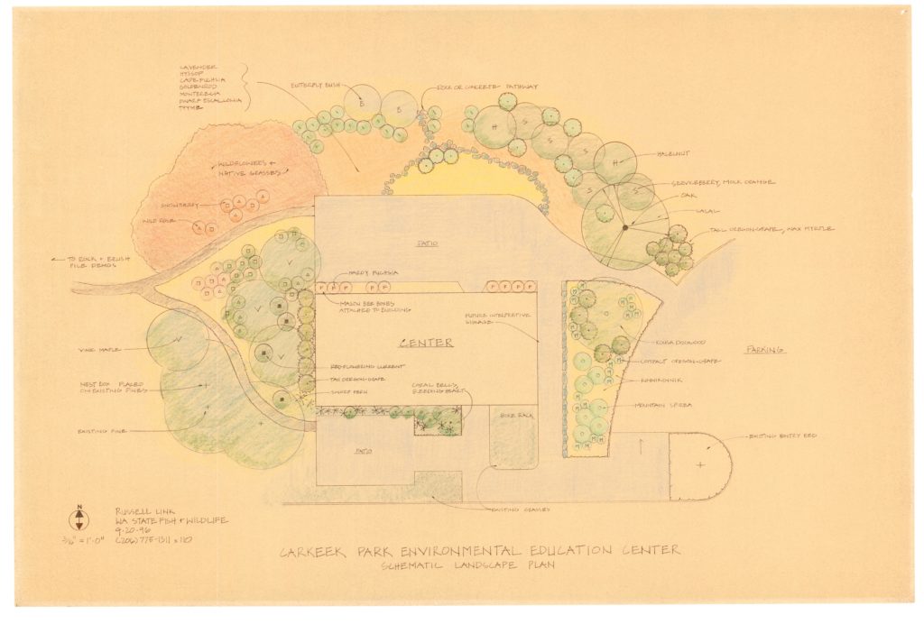 Historical Landscape Drawing of the Carkeek Gardens; circa 1996