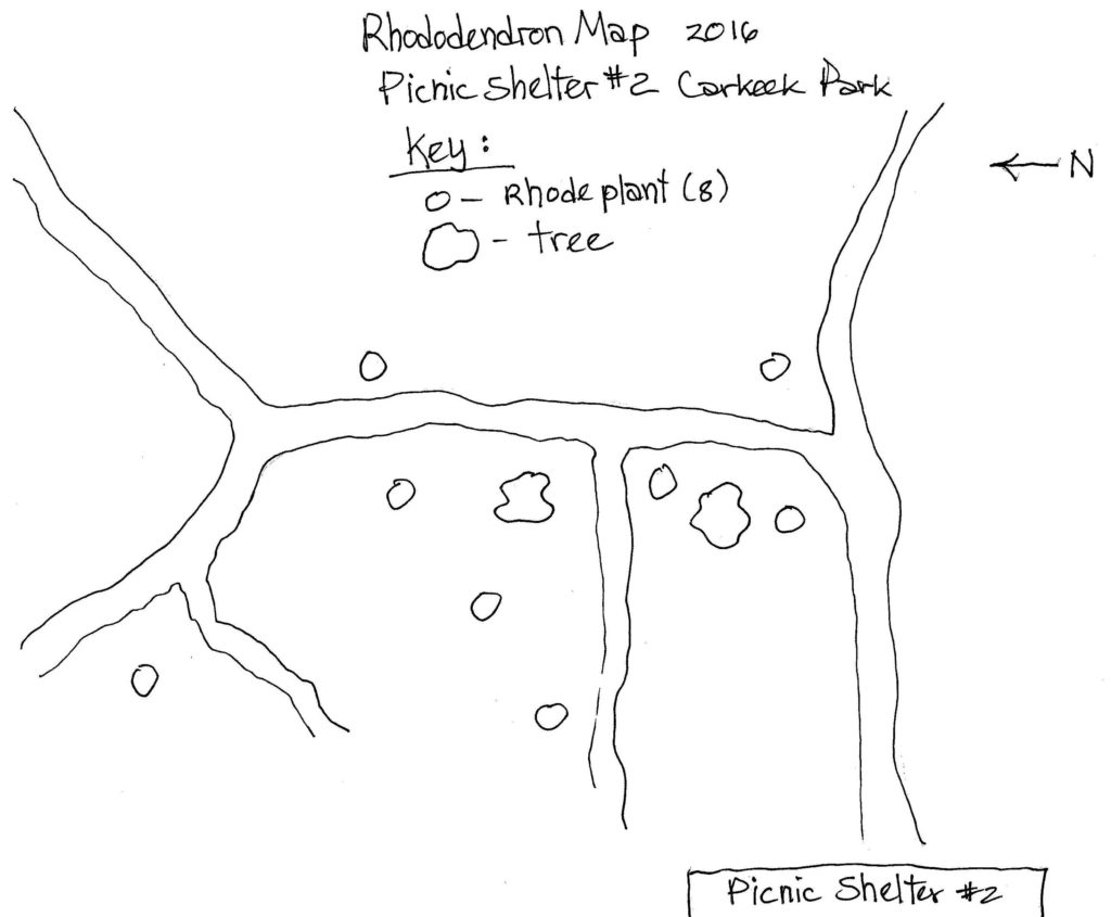 Rhododendron Map, Picnic Shelter #2, lower Carkeek Park; 2016